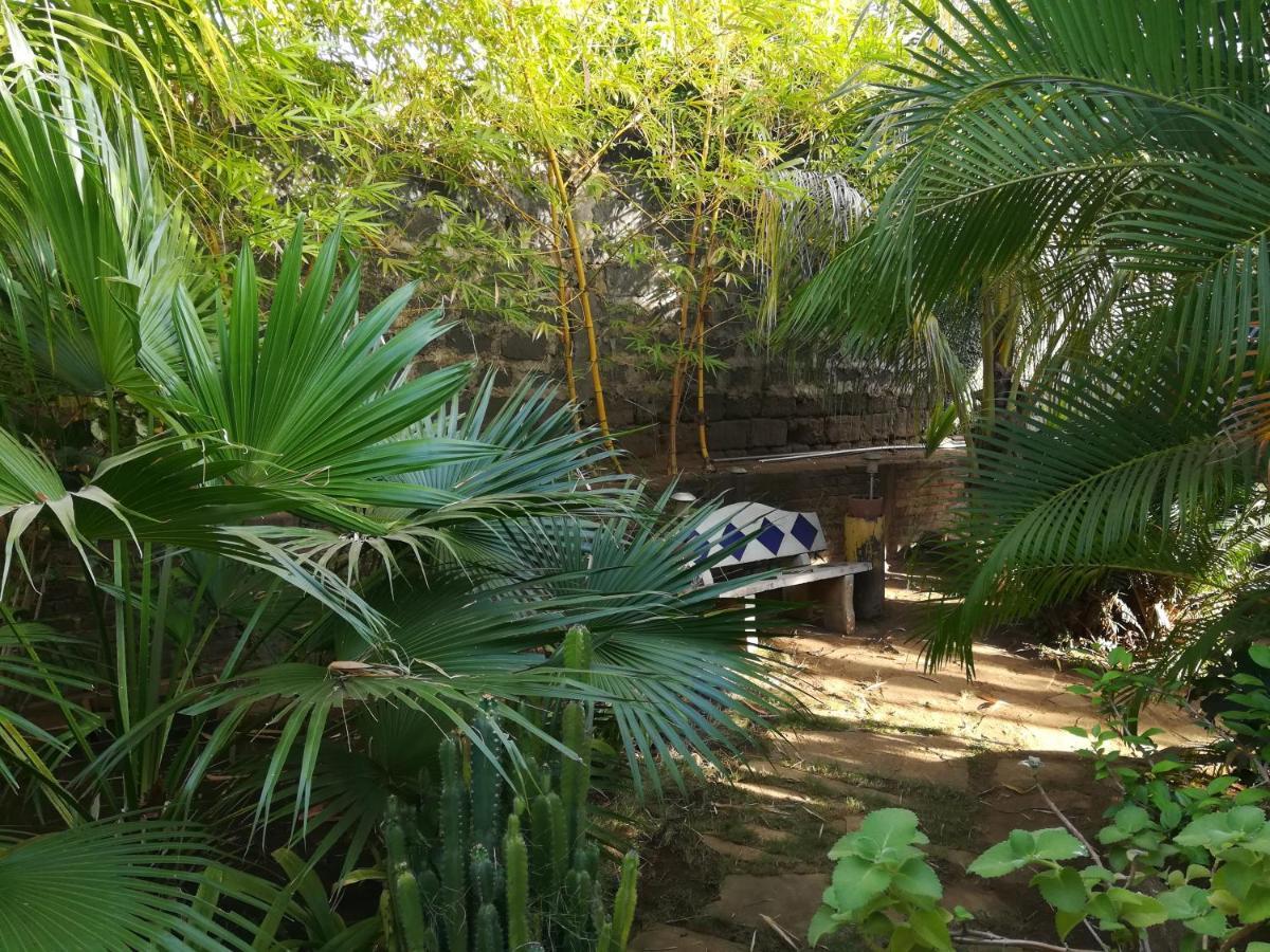 Harvest House Nicaragua Hotel León Zewnętrze zdjęcie