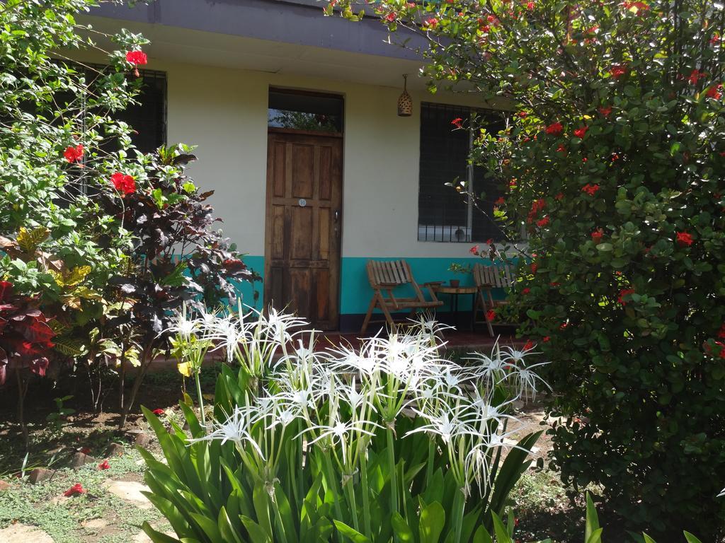 Harvest House Nicaragua Hotel León Zewnętrze zdjęcie