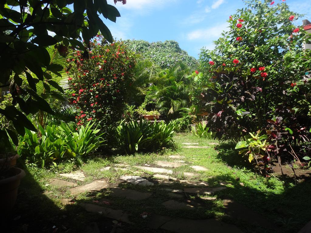 Harvest House Nicaragua Hotel León Zewnętrze zdjęcie